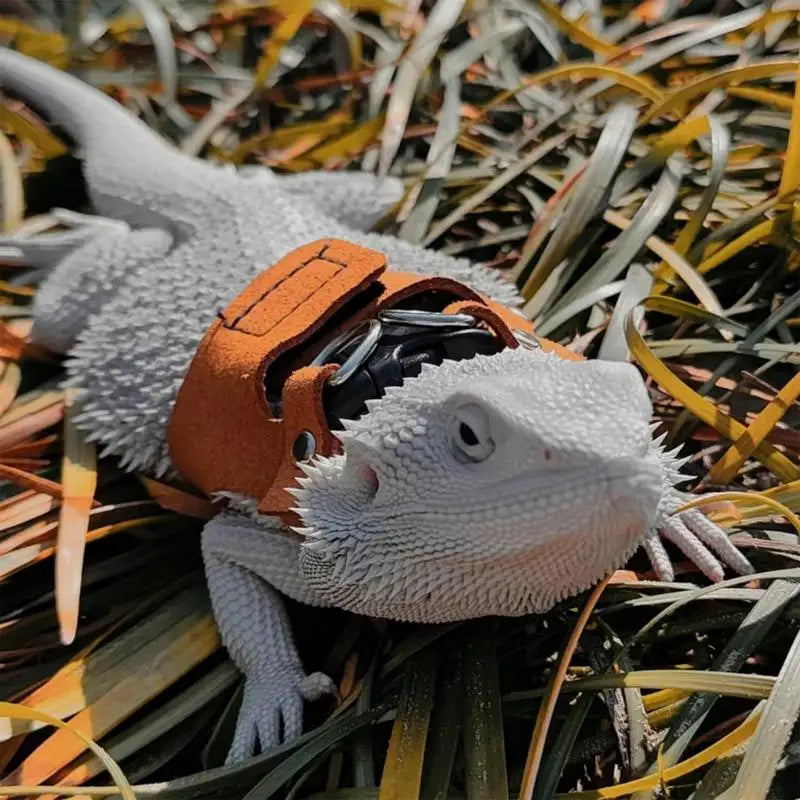 Bearded Dragon/Lizard Leash And Harness Set ,Adjustable, PU Leather Harness With Traction Rope, Soft Leather Harness, 2 Sizes and 2 Colors