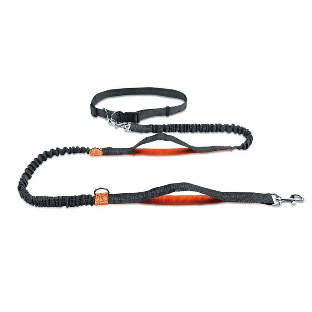 Reflective Leash Traction Leash, Running Leash, Elastic, Hands Free, Metal D-ring, 2 Bungees, Selection of 3 Colors