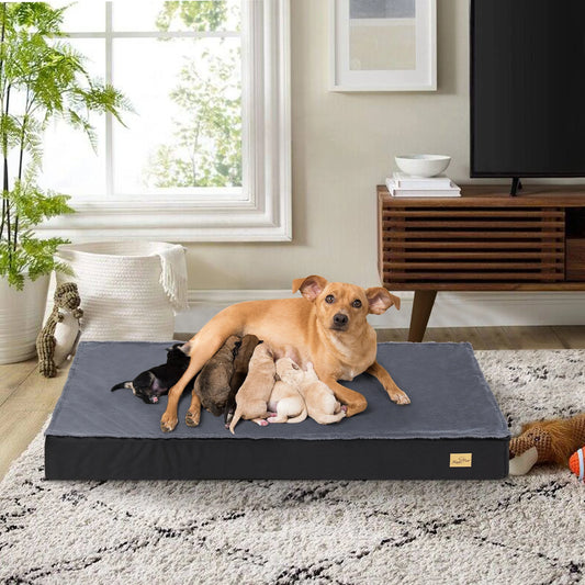 Dog Beds, Orthopedic Dog Bed for Medium Large Dogs Waterproof Lining, and Non-Slip Bottom, Machine Washable, Size Selection