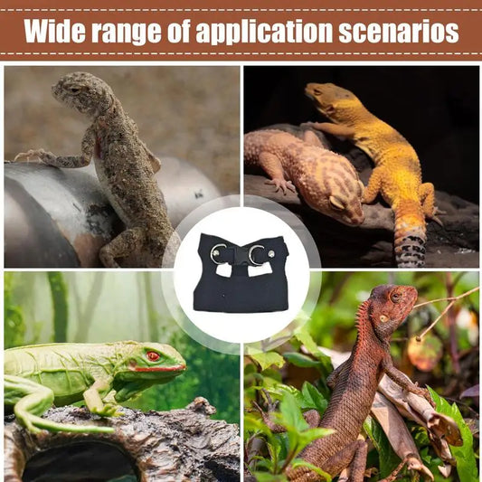 Bearded Dragon/Lizard Leash And Harness Set ,Adjustable, PU Leather Harness With Traction Rope, Soft Leather Harness, 2 Sizes and 2 Colors