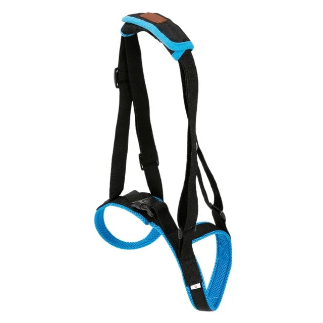 Adjustable Dog Lift Harness For Back Legs, Pet Support Sling, Pet/Dogs Aid Assist Tool
