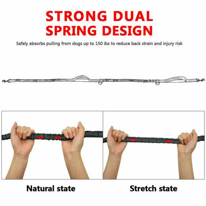 Reflective Leash Traction Leash, Running Leash, Elastic, Hands Free, Metal D-ring, 2 Bungees, Selection of 3 Colors