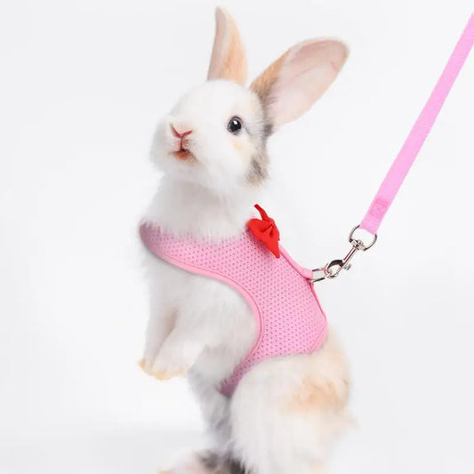 Mesh Bunny Harness And Leash,  Soft, Adjustable Vest Harness And Leash
