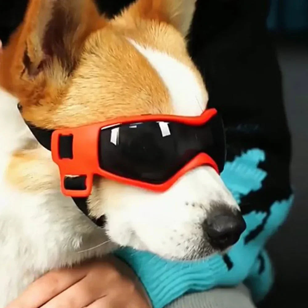Small Dogs' Glasses/Goggles, Medium Dogs' Glasses, Large Dogs Motorcycle Glasses