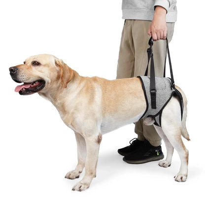 Adjustable Dog Sling, Back Legs Support, Pet, Dogs Aid Assist Tool