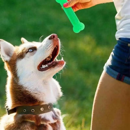 Rubber chew toy for puppies and do, durable and comes in Red, Orange, Blue or Green.