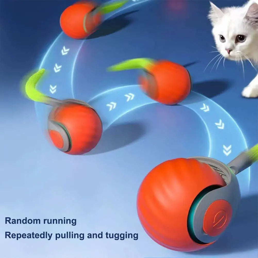 Automatic Moving Cat Ball, Smart, USB Rechargeable, Speedy, Interactive