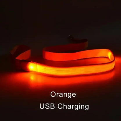 LED Light Up Dog Leash, Luminous, For Dog Safety, Colors-Green, Blue, White, Orange, Pink, Red, Colorful
