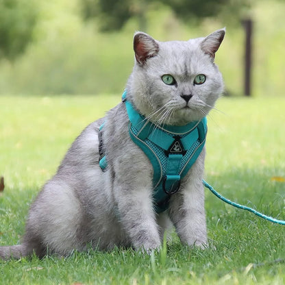 Comfortable and Adjustable Lake Blue Dog/Cat Harness and Leash