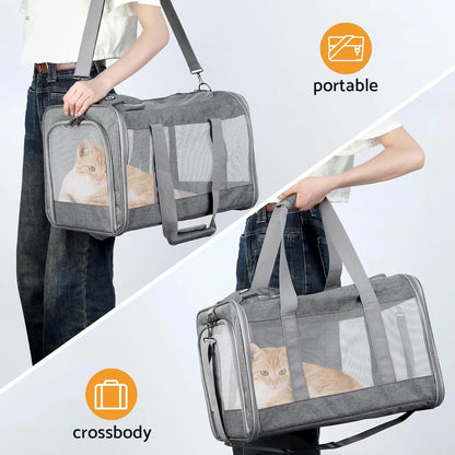 Airline Approved Pet Carrier, Soft Travel Bag with Breathable Honeycomb Board, Removable Support Board for Vet