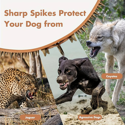 Cool Golden Sharp Spikes Studded Pet Dog Collar Fashion Leather Dog Collar For Medium And Large Dogs