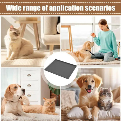 Silicone Water/Food Bowl Mat, Large Dogs/Cats Tray, Waterproof  with Raised Edge