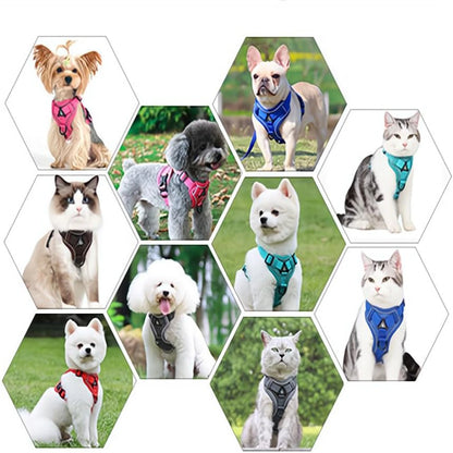 Comfortable and Adjustable Lake Blue Dog/Cat Harness and Leash