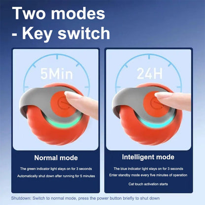 Automatic Moving Cat Ball, Smart, USB Rechargeable, Speedy, Interactive