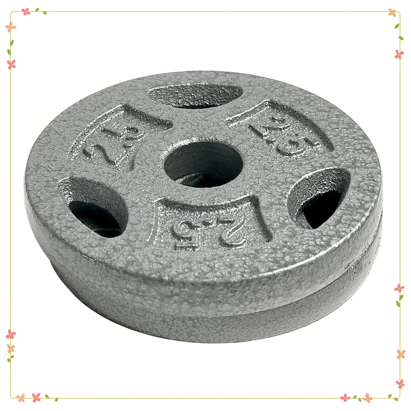 2.5lb Standard Weight Plate Pair, Grip Plate for Home Gym, Barbell Dumbbell Strength Training, Black Iron