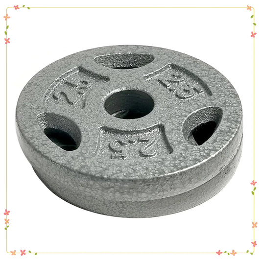 2.5lb Standard Weight Plate Pair, Grip Plate for Home Gym, Barbell Dumbbell Strength Training, Black Iron
