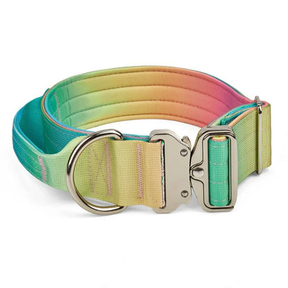 5MM Dog Leash Set, or  Double Nylon Collar, Medium and Large ,  3 Color Choices