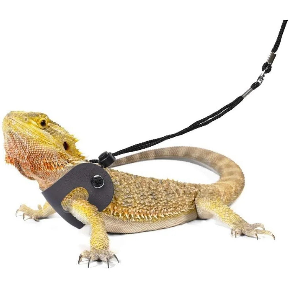 Bearded Dragon Harness and Leash Adjustable (S,M,L, 3 Pack) - Soft Leather Reptile Leash for Amphibians and Other Small Pets,