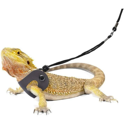 Bearded Dragon Harness and Leash Adjustable (S,M,L, 3 Pack) - Soft Leather Reptile Leash for Amphibians and Other Small Pets,