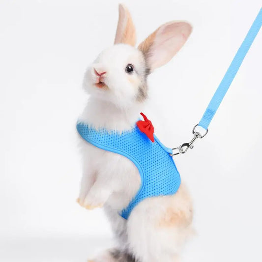 Mesh Bunny Harness And Leash,  Soft, Adjustable Vest Harness And Leash