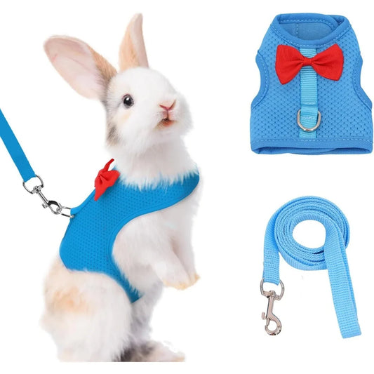 Bunny Harness and Leash Set with Cute Bow, Soft, Breathable Mesh Vest/Harness for Rabbits, Kittens, Ferrets, Small Pigs, Puppies