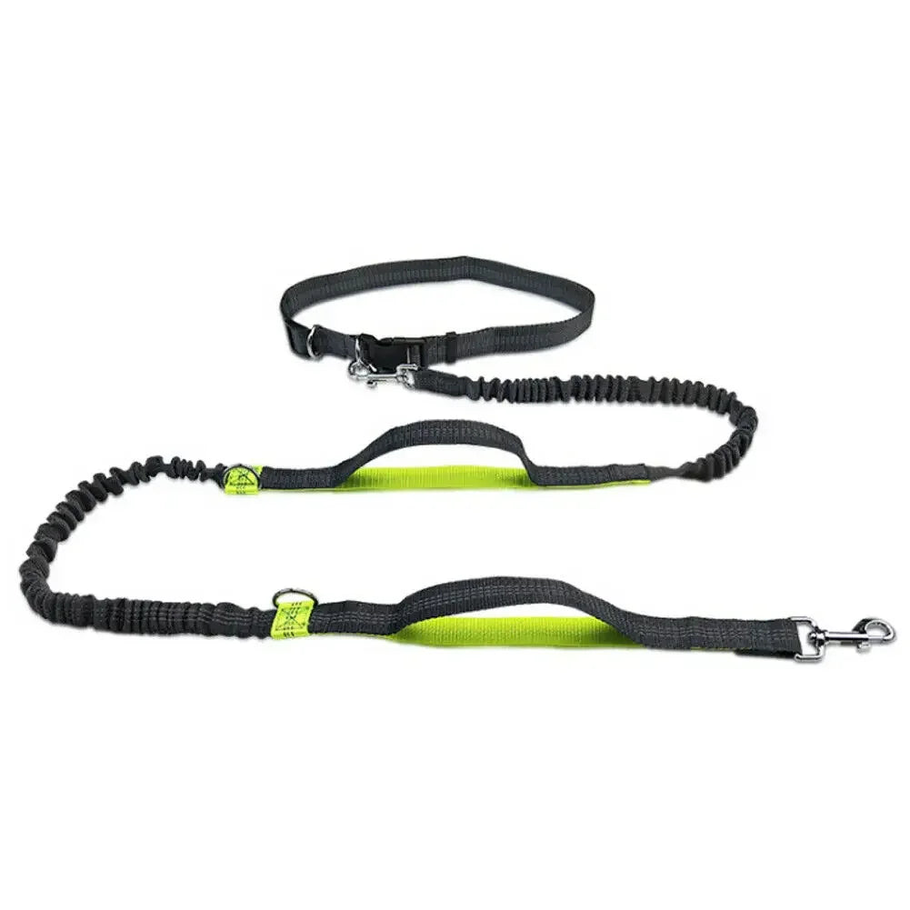 Reflective Leash Traction Leash, Running Leash, Elastic, Hands Free, Metal D-ring, 2 Bungees, Selection of 3 Colors