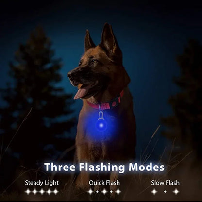 Led Dog Collar Pendant, Rechargeable, Pet USB Luminous Collar Pendant, Pet Flash Light, Collar Accessory