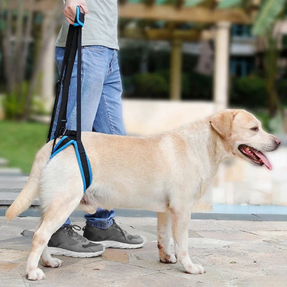 Adjustable Dog Lift Harness For Back Legs, Pet Support Sling, Pet/Dogs Aid Assist Tool