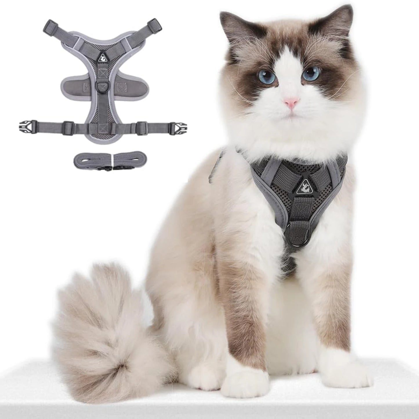 Comfortable and Adjustable Lake Blue Dog/Cat Harness and Leash