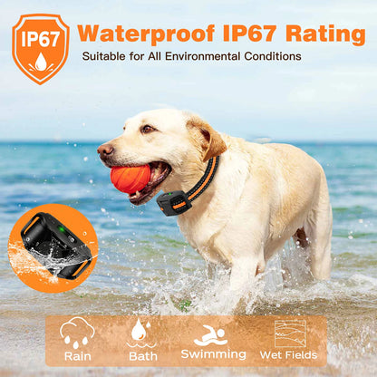 3300Ft Electric Dog Training Collar with Remote Control, Waterproof, for 5-120lbs Dog with Shock Vibration, Choice of 3 Colors, Choice of 1 or 2 Collars
