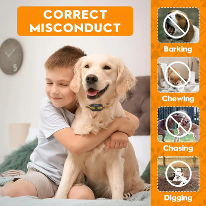 Electric Dog Training Colla, Rechargeable Anti Barking Shock Vibration Collar -Waterproof, Trainer with Clicker