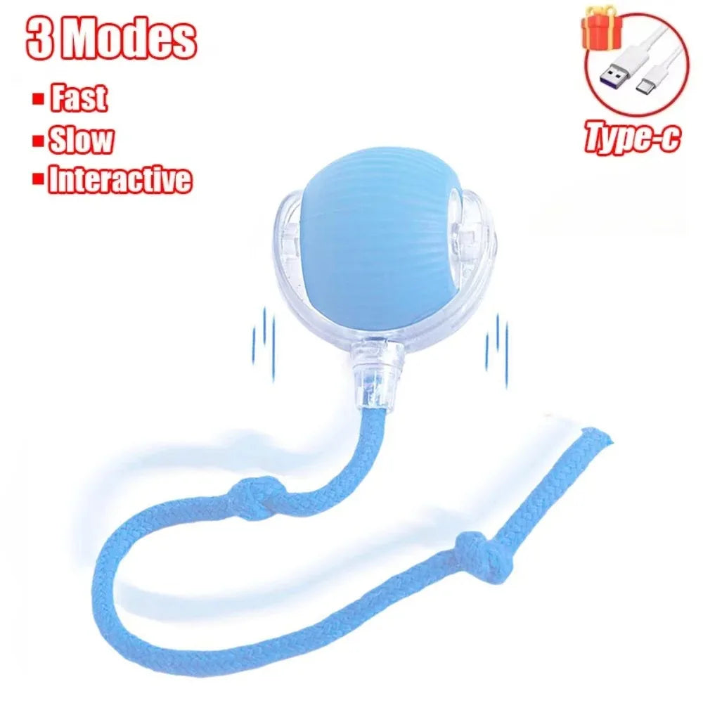 Cat Interactive Ball Toy, Automatic Rolling Ball, Faux Tail, Rechargeable, Smart, Electric