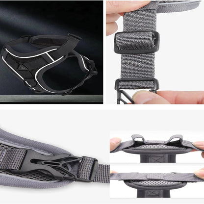 Comfortable and Adjustable Lake Blue Dog/Cat Harness and Leash