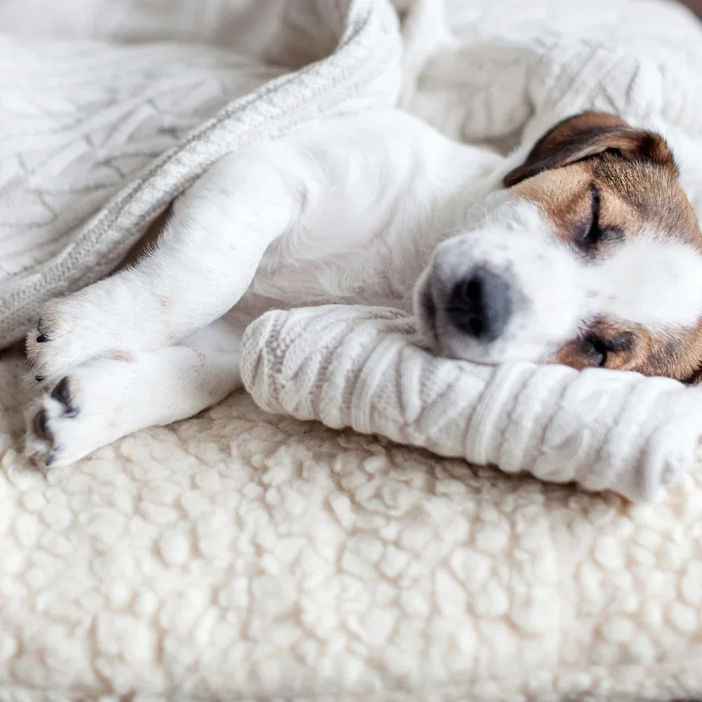 Dog Bed Replacement Cove, Medium Duvet Non-Slip Bottom, Washable, Removable Sherpa Blanket, Cozy, Machine Washable, Durable