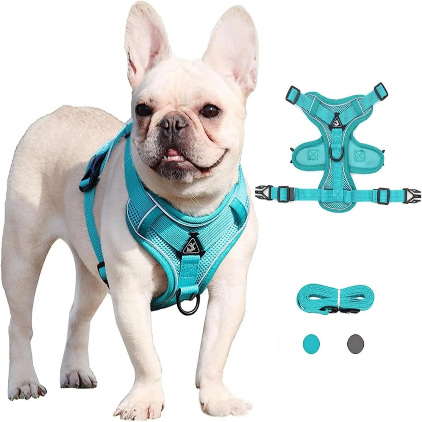 Comfortable and Adjustable Lake Blue Dog/Cat Harness and Leash