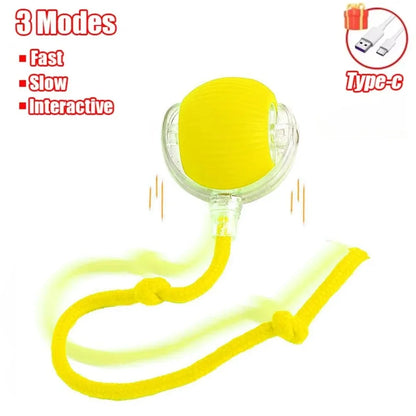 Cat Interactive Ball Toy, Automatic Rolling Ball, Faux Tail, Rechargeable, Smart, Electric