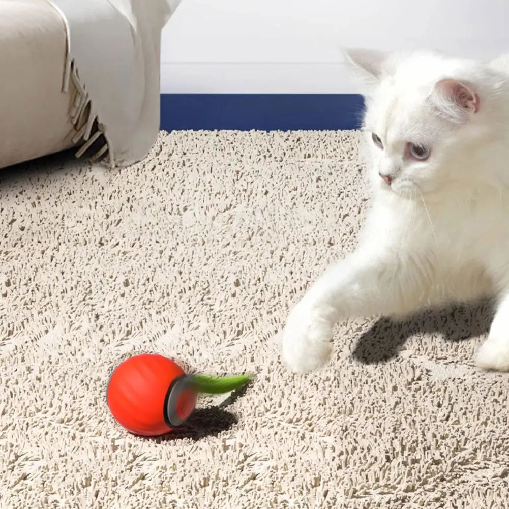 Automatic Moving Cat Ball, Smart, USB Rechargeable, Speedy, Interactive