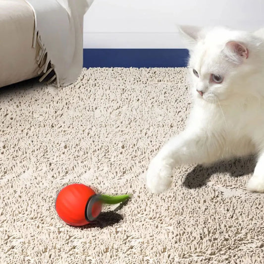 Automatic Moving Cat Ball, Smart, USB Rechargeable, Speedy, Interactive