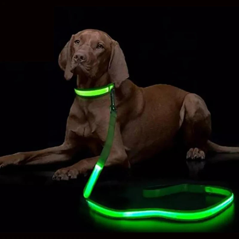 LED Light Up Dog Leash, Luminous, For Dog Safety, Colors-Green, Blue, White, Orange, Pink, Red, Colorful