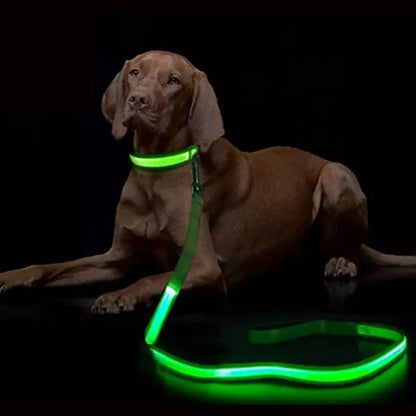 LED Light Up Dog Leash, Luminous, For Dog Safety, Colors-Green, Blue, White, Orange, Pink, Red, Colorful