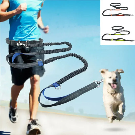Reflective Leash Traction Leash, Running Leash, Elastic, Hands Free, Metal D-ring, 2 Bungees, Selection of 3 Colors